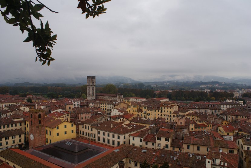 Chianti-2 2016 - 350